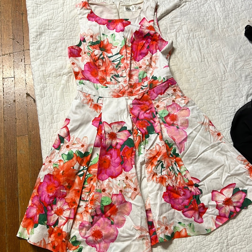 Eliza j ,Beautiful ready to wear